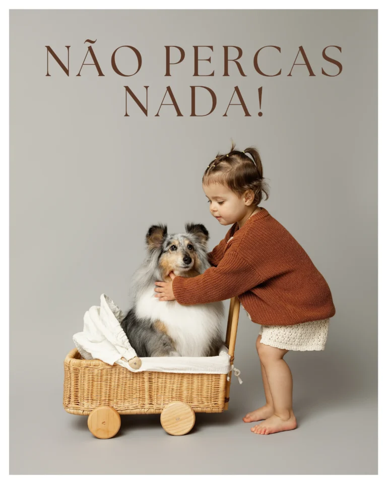 Uma criança pequena, de cabelo apanhado e casaco de malha castanho, em pé ao lado de um carrinho de vime com rodas de madeira. Dentro do carrinho está um cão de raça Shetland Sheepdog. A criança acaricia suavemente o pescoço do cão num estúdio fotográfico com fundo cinza neutro da Sofia de Melo.